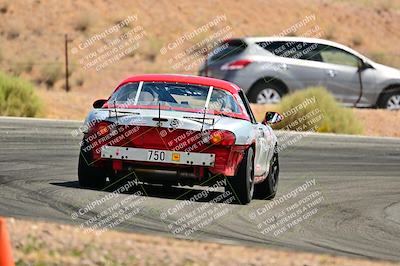 media/May-04-2025-Lucky Dog Racing (Sun) [[21629467aa]]/Turn 4 (10-1045am)/Rear/